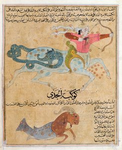 The Constellations of Sagittarius and Capricorn, Illustration from 